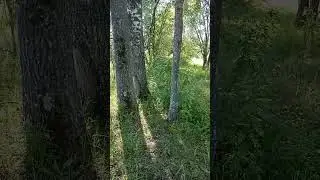 #shorts нетронутое людьми место