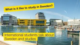What is it like to study in Sweden? International students give their perspectives and best tips!