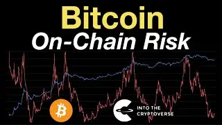 Bitcoin On-Chain Risk