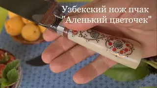 Обзор узбекского пчака 