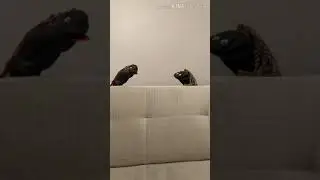 Osman'ın Yeni Okulunda İlk Günü