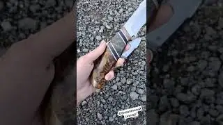 Центр ламината: Cpm s90v. https://t.me/ckuznecVasiliev.  #knife #леонидвасильев #ножи #охота