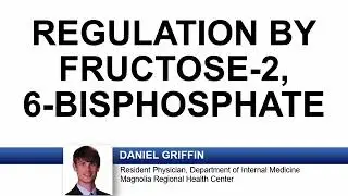 Express Video of the Week: Regulation by Fructose-2,6-biphosphate