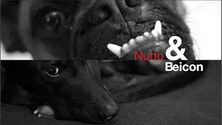 NUDO&BEICON