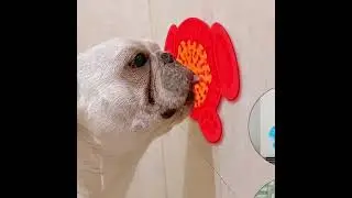 Silicone Sucker Food Licking Pad Slow Feeder Bowl Eco-Friendly Non Toxic Healthy Design Dog Bowl