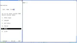 PL/SQL (Variables)