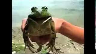 Как сыграть имперский марш на жабе в ютюбе