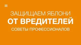 Защита яблони от вредителей