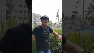 Esto no sirve de nada pero seguro quieres hacerlo. Lanza plantas