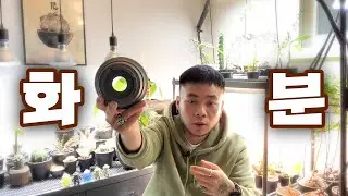 Choosing the Right Pot for Your Plants | How to Choose a Pot, and Why 1