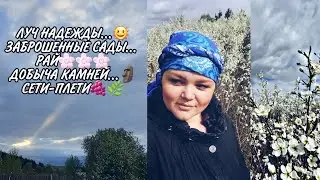 РАЙСКИЙ САД🌸 КАМНИ НА УЧАСТКЕ🗿 МОТОБЛОК-ЧЕЛЕНДЖ🙉 МУЖ ПРОТИВ ВИНОГРАДА🌿🍇🌿
