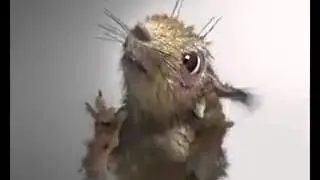 БЕЛЫЧ