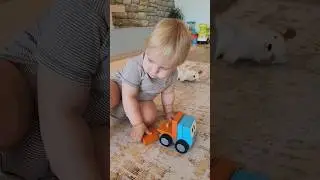 Развивающий деревянный конструктор 