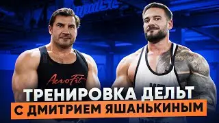 Deltoid Workout | Dmitry Yashankin