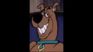 Tactical Scooby Doo