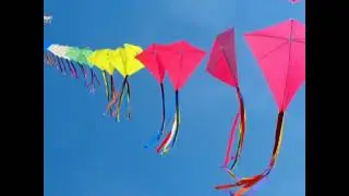 Happy uttarayan||Makar Sankranti WhatsApp status 2024|Uttarayan status 2024#uttrayan #makarsankranti