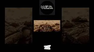 Il misterioso audio in Golden Axe per PC-Engine CD