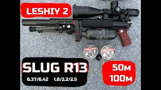 Леший 2 и слаги R13 на 50 и 100м