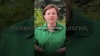 Балан Полина