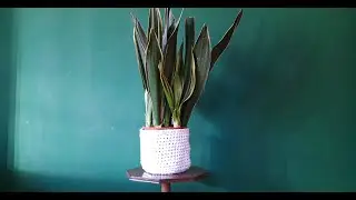 DIY box Knus&Gezelligheid - plantenmand