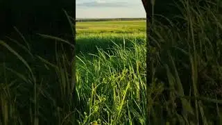 Beautiful place. Nature. Village.