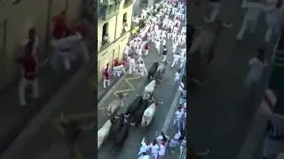 Bull Running in Pampolona, Spain (With “The Lion King” - Stampede Music)