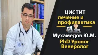 Цистит. Лечение и профилактика.  Врач Уролог Мухамедов Юсуп Межитович
