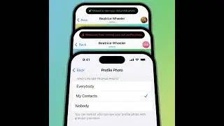 Telegram - Fotos de perfil públicas