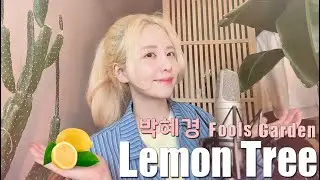 레몬 트리 - 박혜경,Fools Garden /COVER BY 해루 HERU