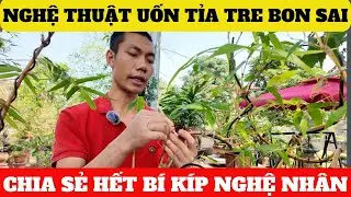 Cách Uốn Tỉa Tre Bon Sai Nhiều Người Chưa Biết | Chia Sẻ Hết Bí Kíp Từ Chuyên Gia Nguyễn Sỹ Luân