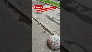 Khimki, drowning in garbage. Where is the Administration looking 