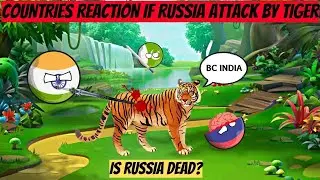 Countries Reaction If Russia Killed By Tiger 🐯 | But why?