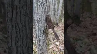 Напоминание о войне... 
