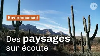 Des paysages qui s'écoutent | Reportage CNRS