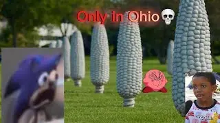 Quandale Dingle Actually Goes to Ohio 2! 💀💀💀(Quandale Dingle in Ohio 3) Don't Laugh 13) #shorts