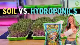 Soil vs Coco Coir vs Silicone for Microgreens — Water Only, No Nutrients!