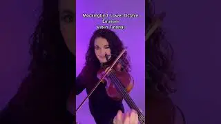 Mockingbird, Lower Octave, Eminem, Violin Tutorial by Susan Holloway #violin #cover