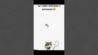 поиграй с котиком #cat #funny #memes #answer #jokes #meme #roblox #роблокс #бравлстарс #рек