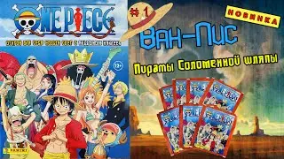 PANINI One Piece Sticker Album (2023) NEW! Review and Unboxing! #1