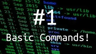 Basic Bash Shell Commands
