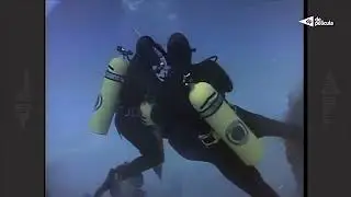 Frogwoman diver attacked and drown underwater