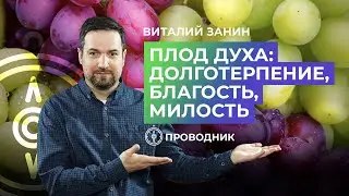 ПРОВОДНИК | ОСВЯЩЕНИЕ — Долготерпение, благость, милосердие