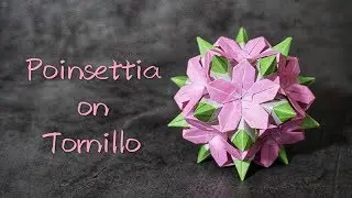 Origami Tutorial: Kusudama Poinsettia on Tornillo (Paolo Bascetta, Meenakshi Mukerji)｜Hello Malinda
