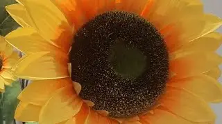 Стоит ли осуществлять задуманное 💪