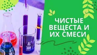 Химия 7 класс. Чистые вещества и их смеси.