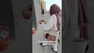 всегда когда вижу голодных животных стараюсь кормить🥰
