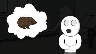 История из ТТ #2