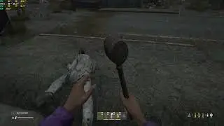DayZ rx 570 4gb test Ultrawide 2560 x 1080 resolution