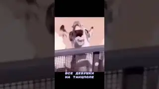 ОВЦЫ… случай на концерте ASTI