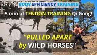 STRONGMAN Alexander Zass and Tendon Training Qi Gong